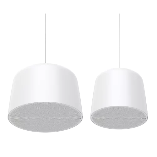 AXIS C1510 Network Pendant Speaker